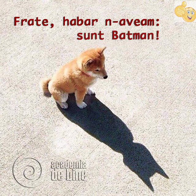 batman-adb.jpg